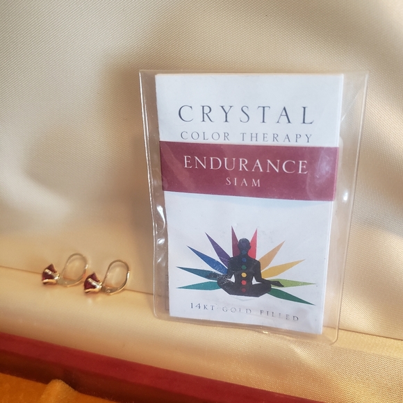 Alex & Ani Crystal Earrings - Picture 2 of 7